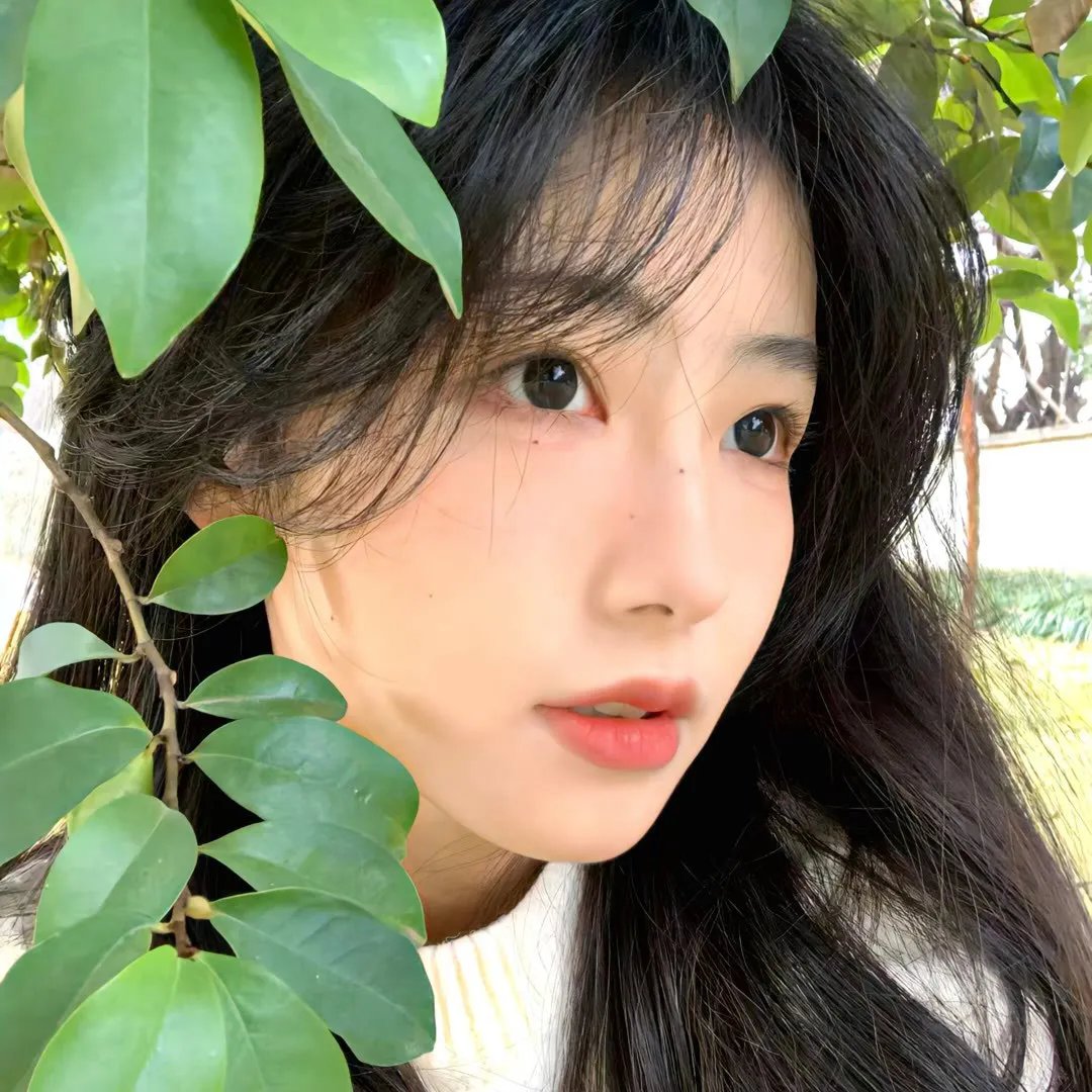 公子无双